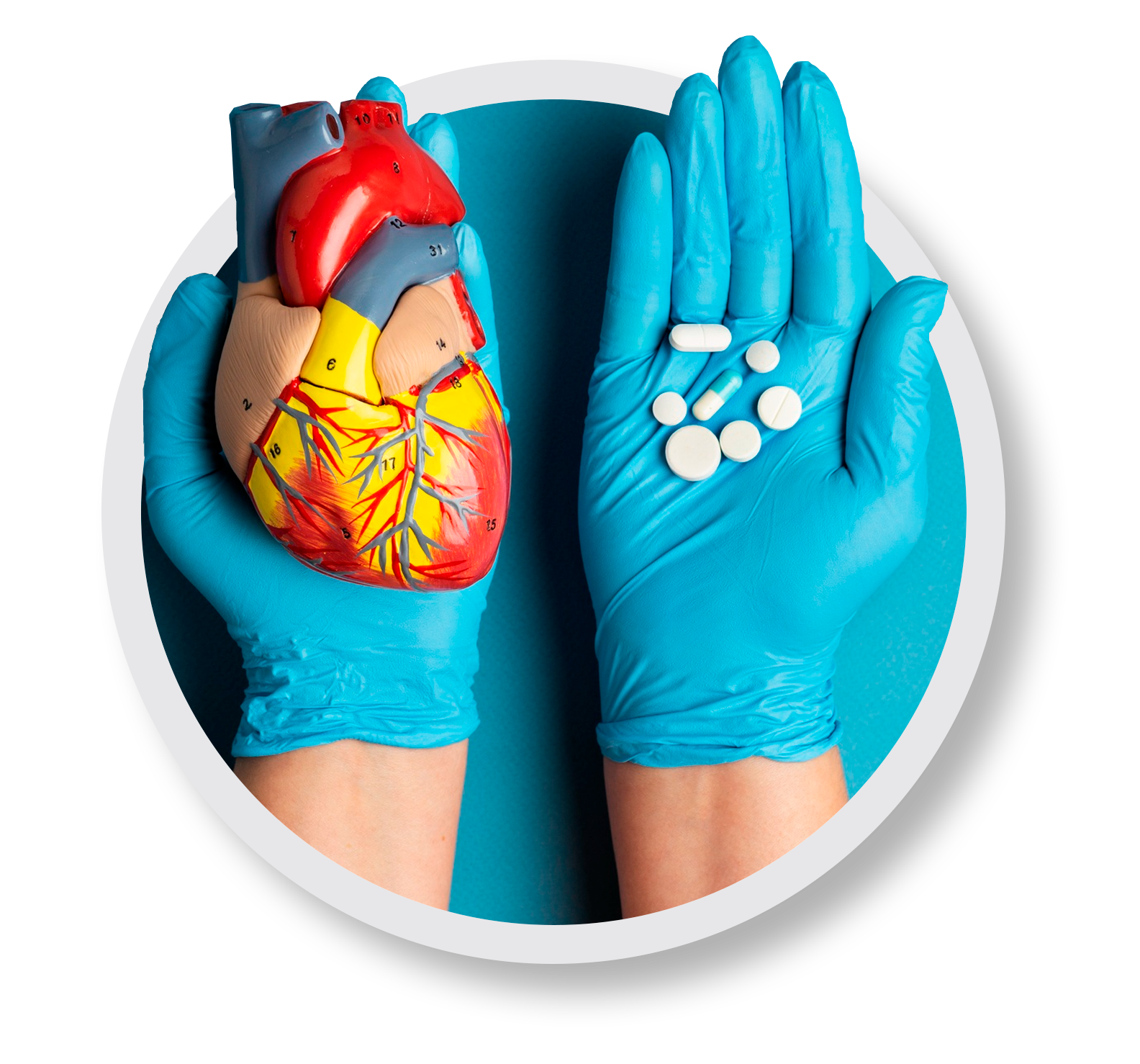 Seguridad y Justicia